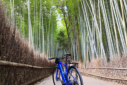 Kyoto Arashiyama, Hozukyo cycling route