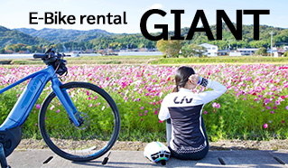 Giant bike rental