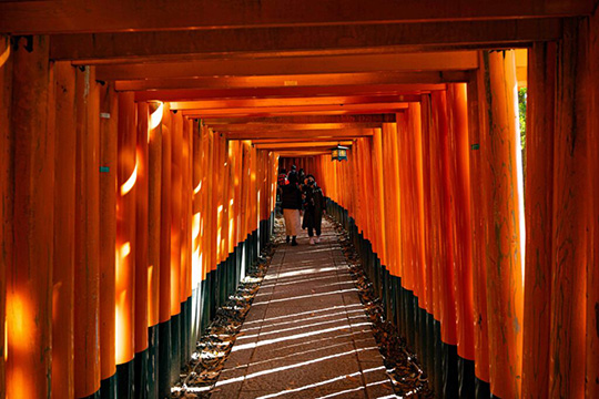 Kyoto Fushimi inari Shrine cycling route known for its thousand torii gates