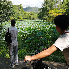 Classic Kyoto city cycling route