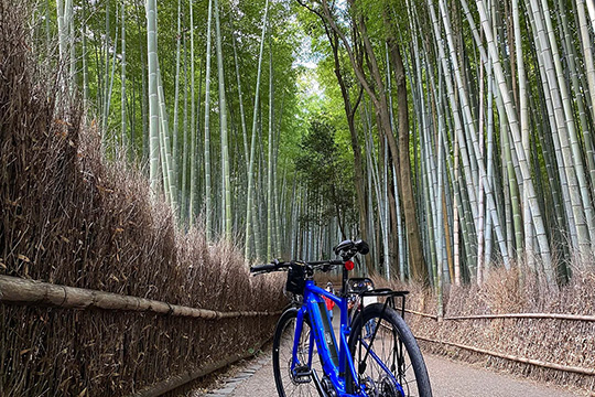 Classic Kyoto city cycling route