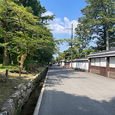 Classic Kyoto city cycling route