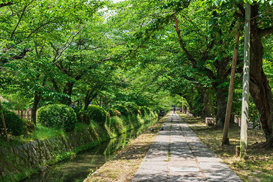 Classic Kyoto city cycling route