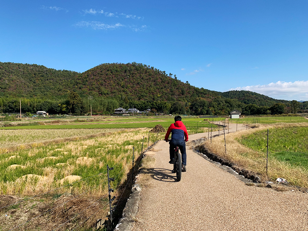 bike tour